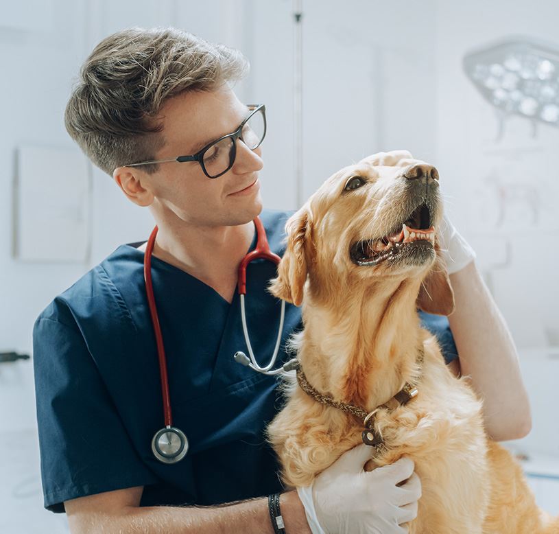 male doctor and dog